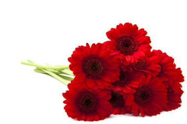 Red flowers clipart