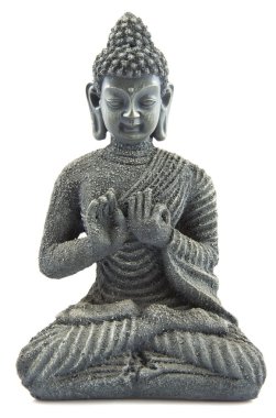 Pray with budha clipart