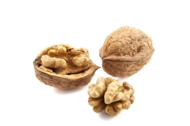 Walnut clipart