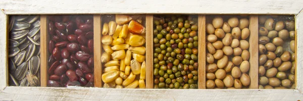 Beans assorted — Stock Photo, Image