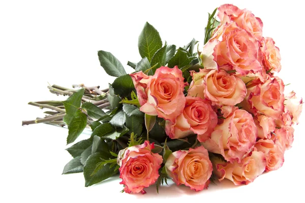 Bouquet roses — Stock Photo, Image