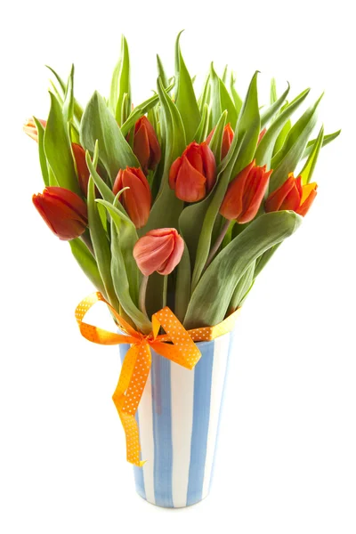 Tulipanes de Amsterdam —  Fotos de Stock