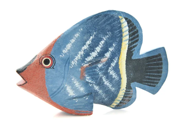 Colrful fish — Stock Photo, Image