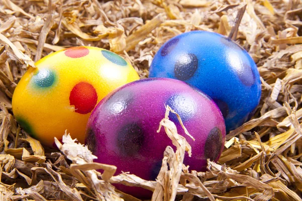 Grappige eieren — Stockfoto