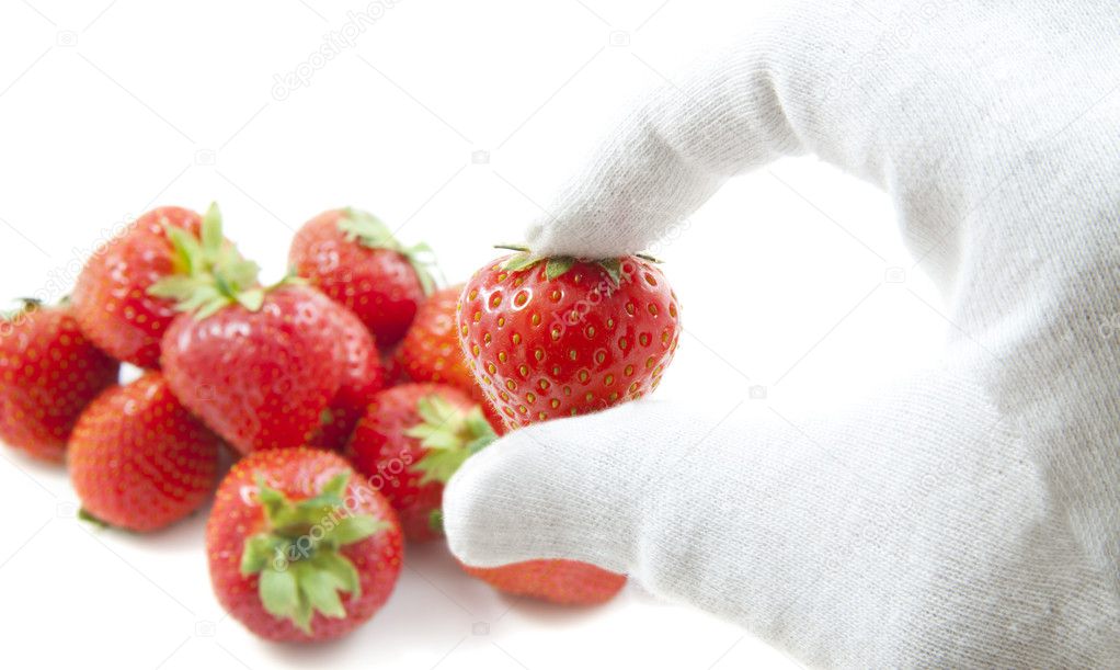 Testing strawberries