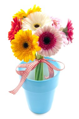 Special gerbera's clipart