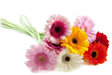 Special flowers clipart