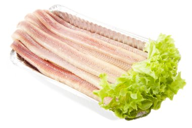 Fresh eel clipart