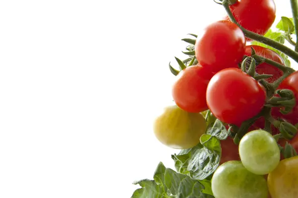 Tomate cereja doce — Fotografia de Stock