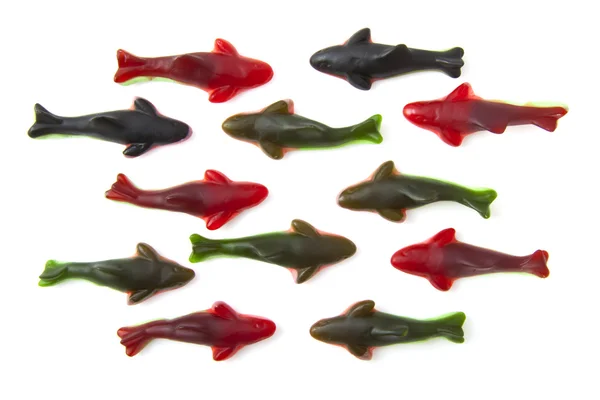 Shark candy — Stock Photo, Image