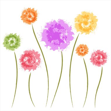 Dandelion flowers. Watercolor clipart