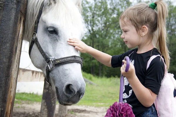 Το μικρό κορίτσι και άλογο — Φωτογραφία Αρχείου