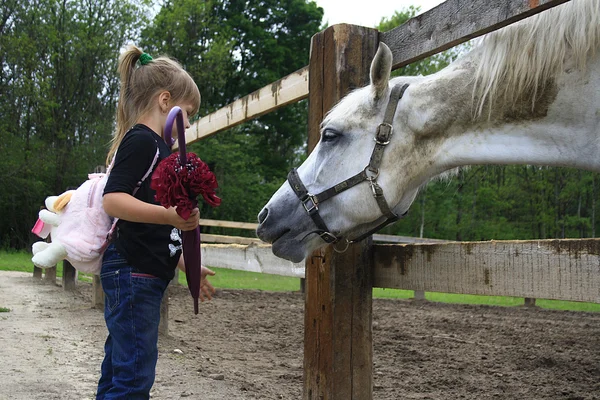 Het kleine meisje en paard — Stockfoto