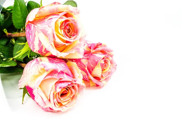 Букет троянд — стокове фото