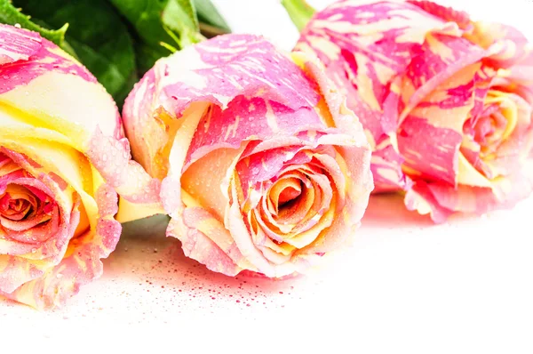 Букет троянд — стокове фото