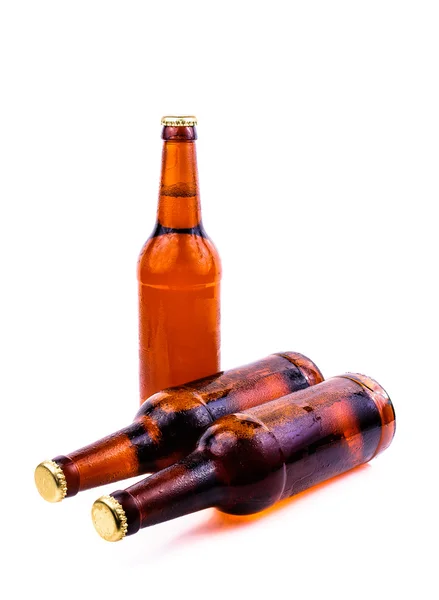 Потная бутылка пива — стоковое фото