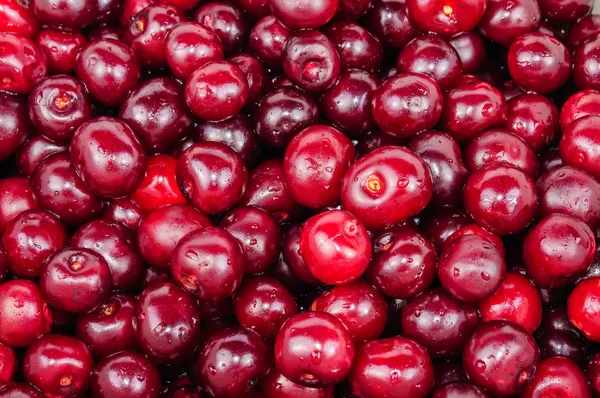 De achtergrond van rode kers vruchten — Stockfoto