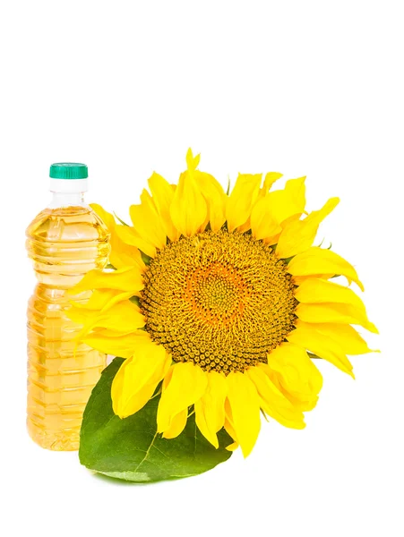Girasoli in fiore e una bottiglia di olio vegetale — Foto Stock