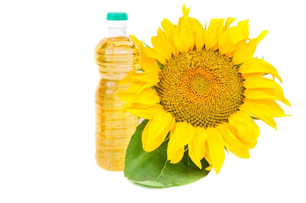 Blooming sunflowers and a bottle of vegetable oil — 图库照片