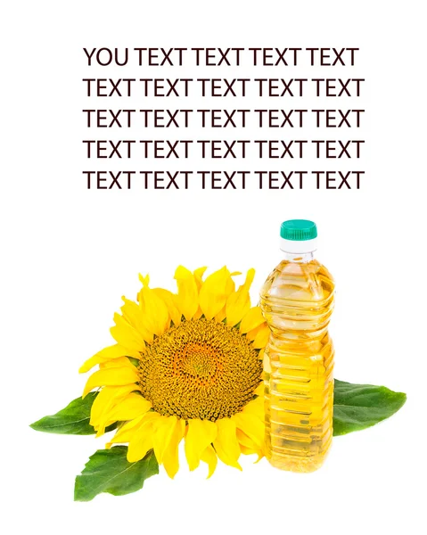 Kwitnących słoneczników i butelkę oleju roślinnego — Zdjęcie stockowe