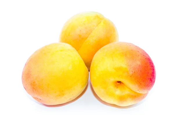 Vruchten zijn rijp abrikozen — Stockfoto