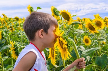 Ayçiçeği kokulu çocuk