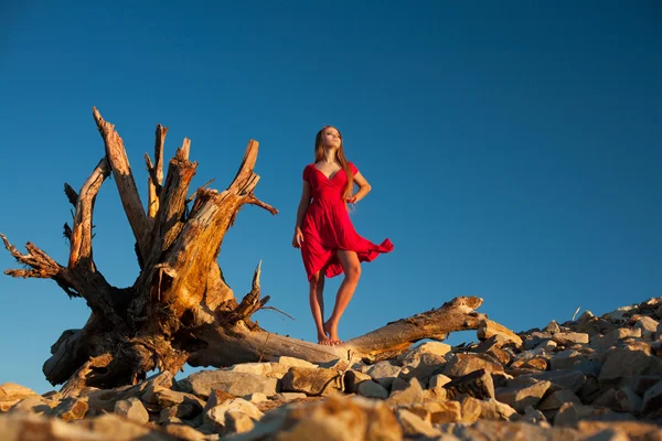 Sexy woman in red dress standing on a dry tree trung against blu — Stock Photo, Image