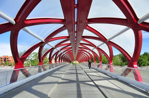 Puente de la Paz de Calgary — Foto de Stock