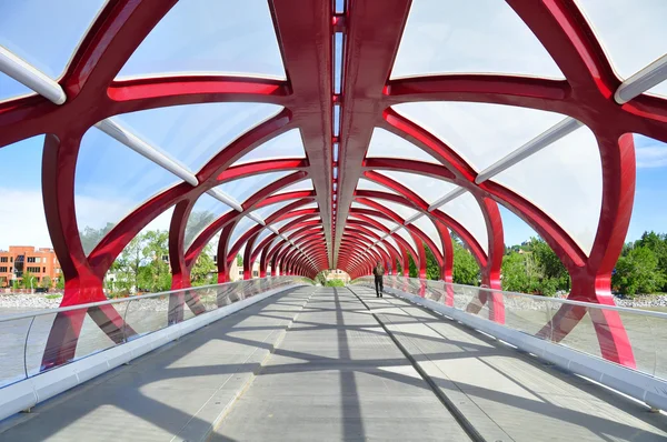 Calgary's Peace Bridge — Stock Photo, Image