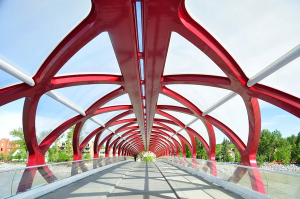 Puente de la Paz de Calgary — Foto de Stock