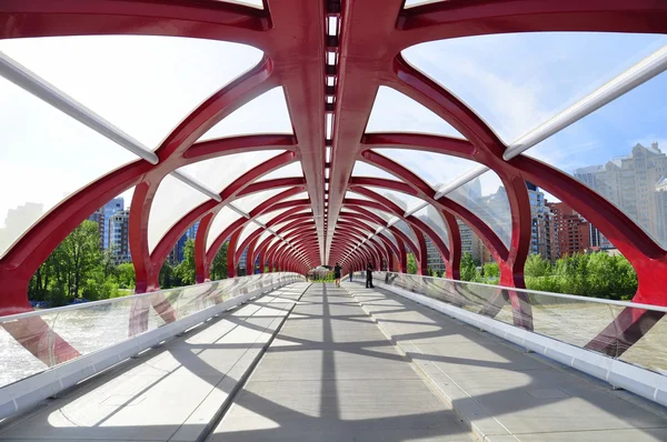 Calgary's Peace Bridge — Stock Photo, Image