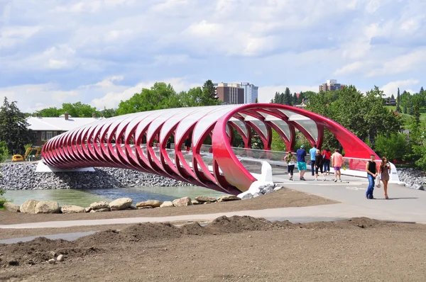 stock image Peace Bridge