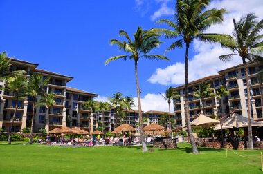 Maui beach resort clipart
