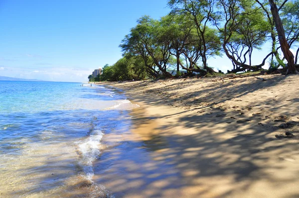 Playa de Kaanapali — Foto de Stock