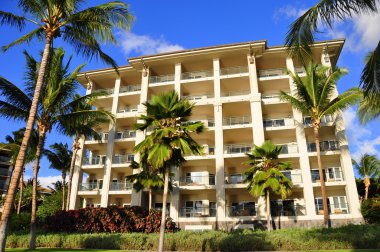 Palm trees and condos, Maui clipart