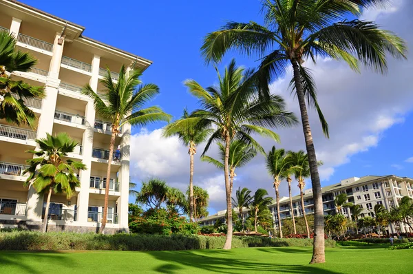 Palme e condomini, Maui — Foto Stock