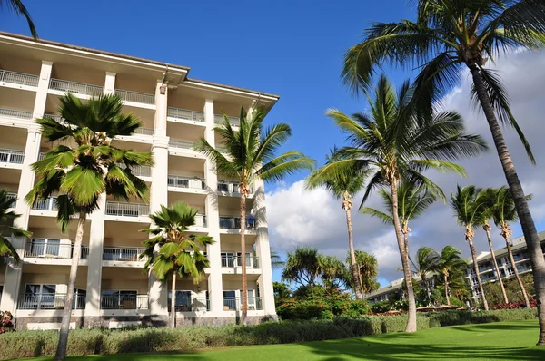Palmeiras e condomínios, Maui — Fotografia de Stock