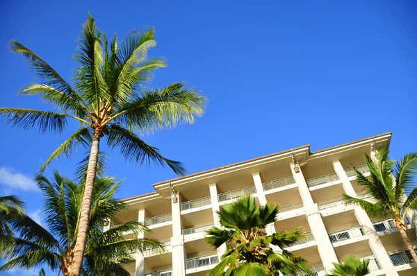棕榈树和公寓，毛伊岛 — 图库照片