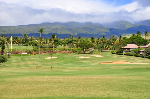 高尔夫球场卡阿纳帕利毛伊岛，夏威夷 — 图库照片