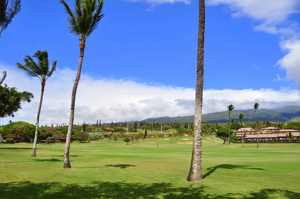 Поле для гольфу в Ка'анапалі Мауї, Гаваї — стокове фото