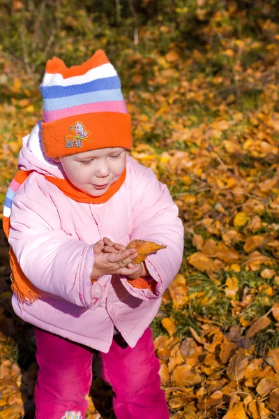 Criança segurando folhas de outono — Fotografia de Stock