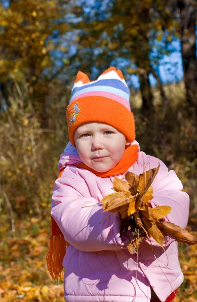 Child holding autumn leaves — Stock Photo, Image