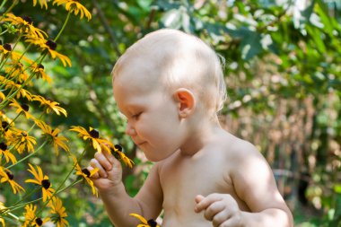 Baby smells the flowers clipart