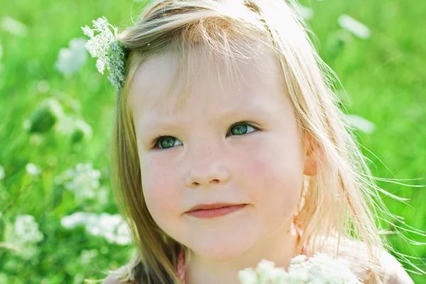Маленькая девочка на летнем лугу — стоковое фото