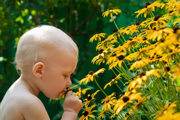Bebê cheira as flores — Fotografia de Stock