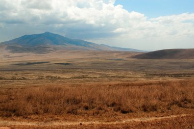 Masai-mara