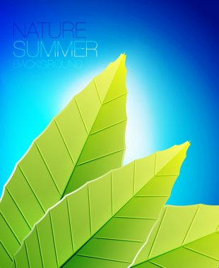 Green nature leaf background clipart