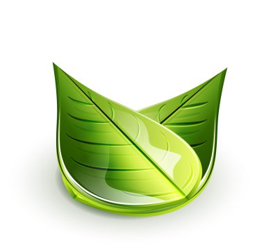 Nature green leaf concept clipart