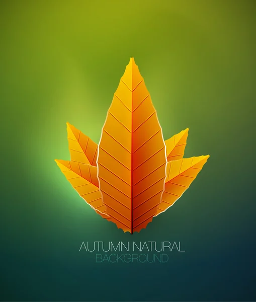 Le concept des feuilles d'automne. Vecteur nature arrière-plan — Image vectorielle