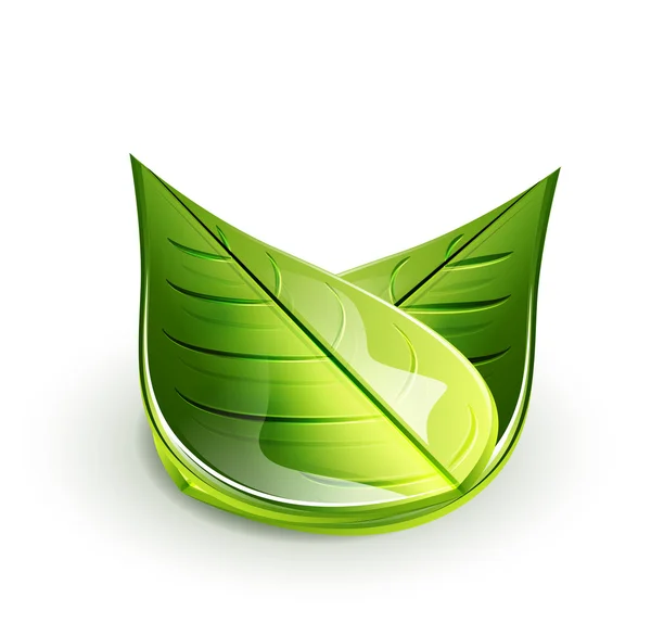 자연 녹색 잎 개념 — 스톡 벡터